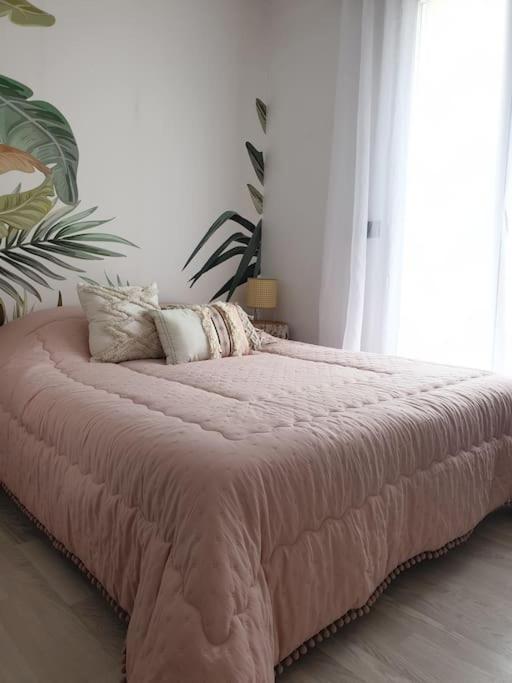 Anglet Biarritz Appartement Avec Piscine Zewnętrze zdjęcie